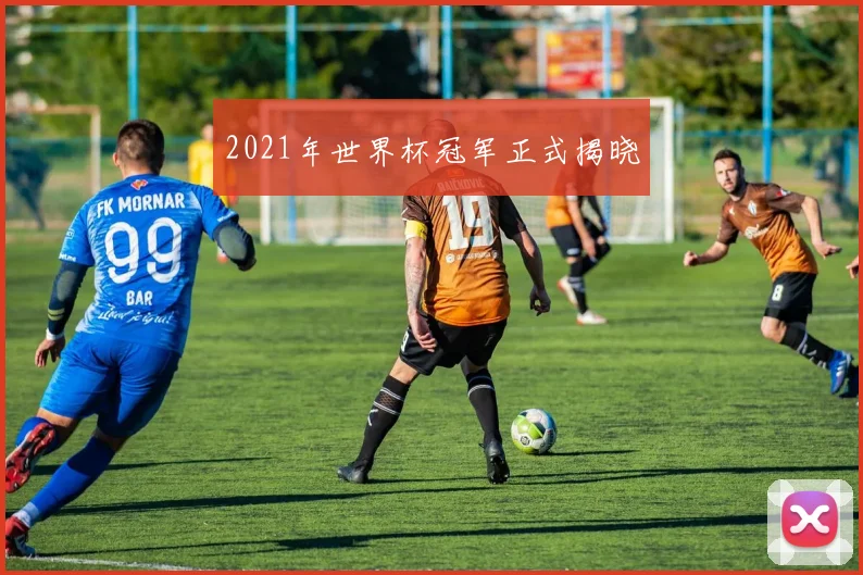 2021年世界杯冠军正式揭晓