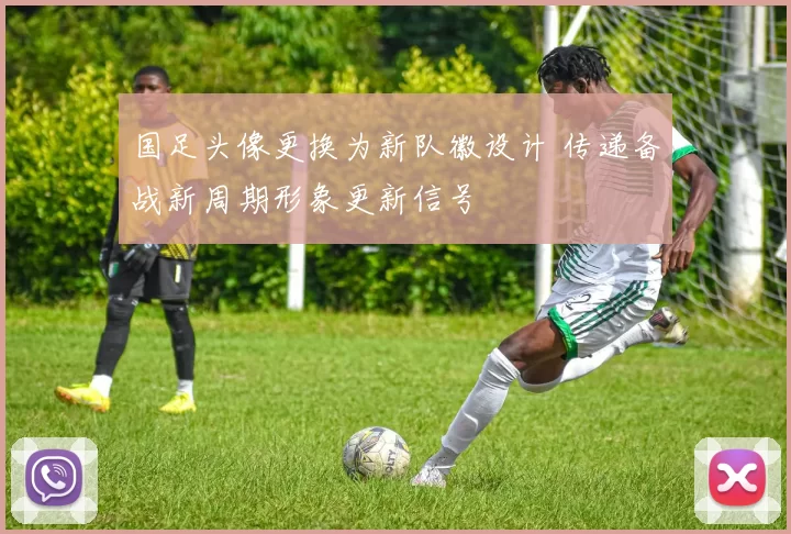 国足头像更换为新队徽设计 传递备战新周期形象更新信号