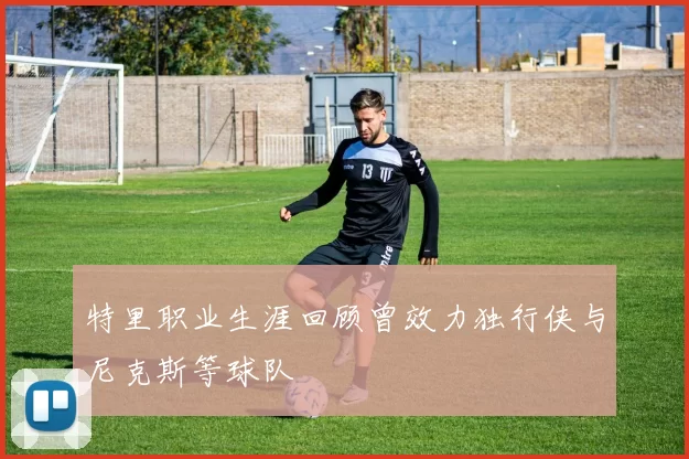 特里职业生涯回顾曾效力独行侠与尼克斯等球队