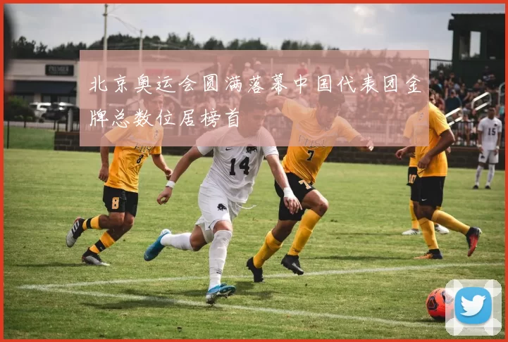 北京奥运会圆满落幕中国代表团金牌总数位居榜首